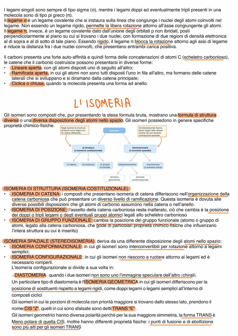 LA CHIMICA ORGANICA
La chimica organica si occupa di indagare la composizione e l'organizzazione della materia vivente.
Tutte le molecole or