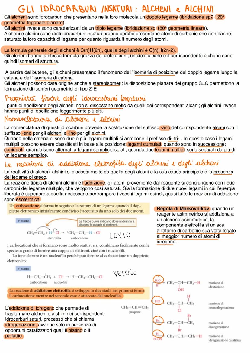 LA CHIMICA ORGANICA
La chimica organica si occupa di indagare la composizione e l'organizzazione della materia vivente.
Tutte le molecole or