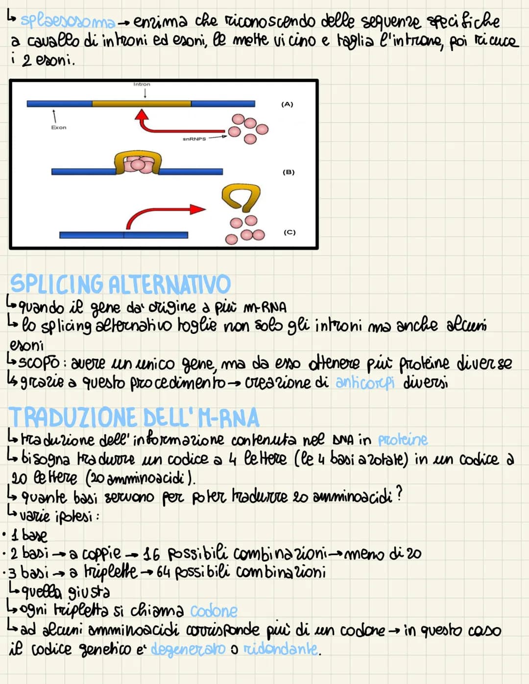 
<p>Nel 1869, un biochimico scoprì una sostanza all'interno del nucleo, chiamata nucleina, e inizialmente pensò si trattasse di una proteina