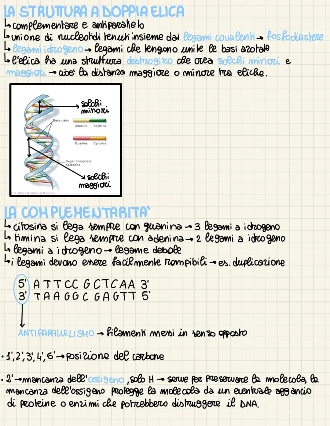 
<p>Nel 1869, un biochimico scoprì una sostanza all'interno del nucleo, chiamata nucleina, e inizialmente pensò si trattasse di una proteina