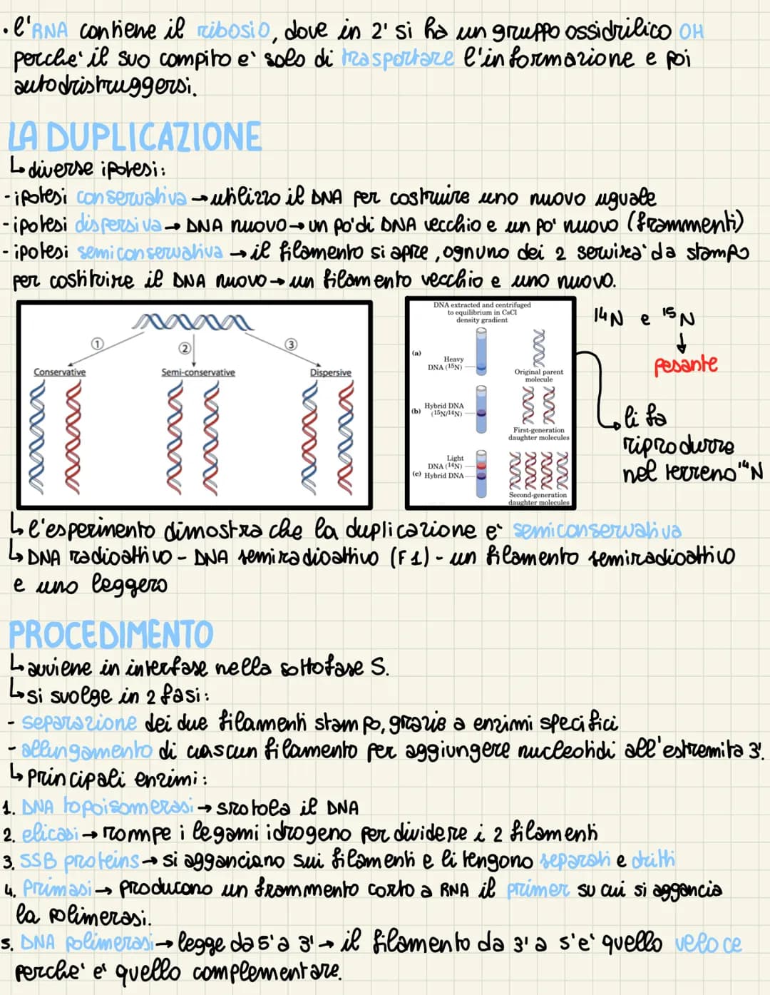 
<p>Nel 1869, un biochimico scoprì una sostanza all'interno del nucleo, chiamata nucleina, e inizialmente pensò si trattasse di una proteina