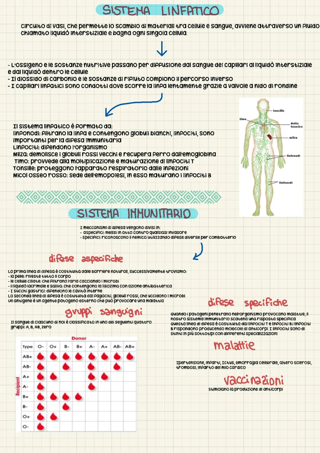 Sistema linfatico e immunitario