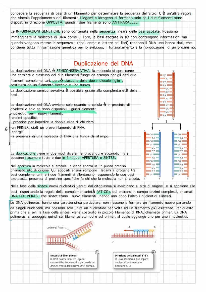 Il DNA e il materiale genetico
Il DNA di tutti gli esseri viventi è composto da unità individuali chiamate NUCLEODITI formati da 3
component