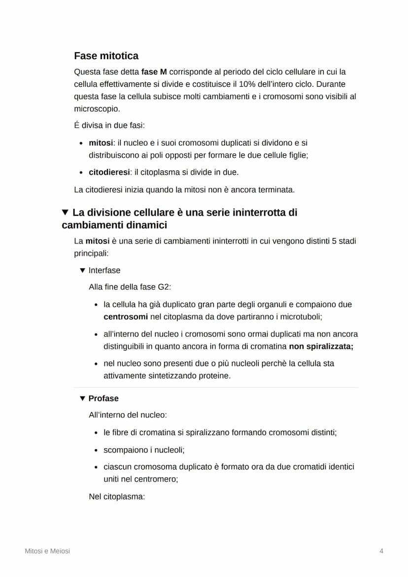 Mitosi e Meiosi
▾ La divisione cellulare e la riproduzione
▾ La riproduzione di tutti gli esseri viventi dipende dalla
divisione cellulare
M