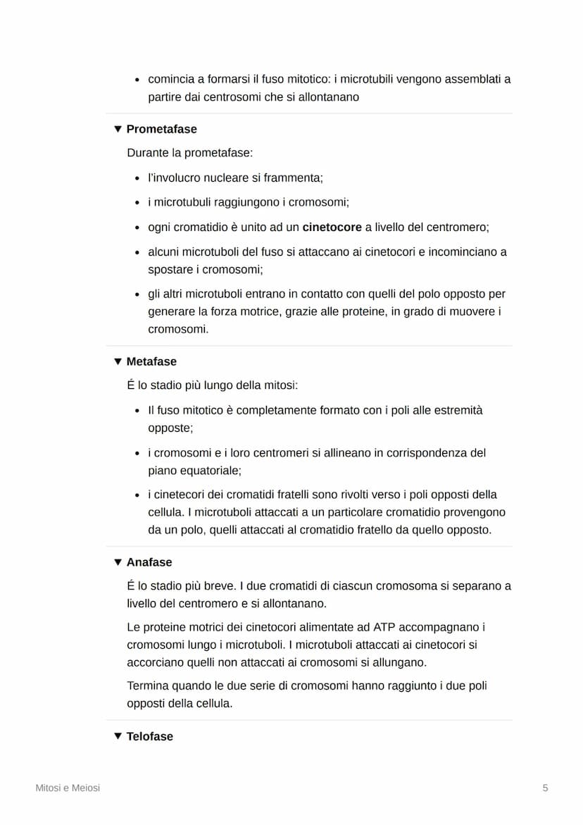 Mitosi e Meiosi
▾ La divisione cellulare e la riproduzione
▾ La riproduzione di tutti gli esseri viventi dipende dalla
divisione cellulare
M