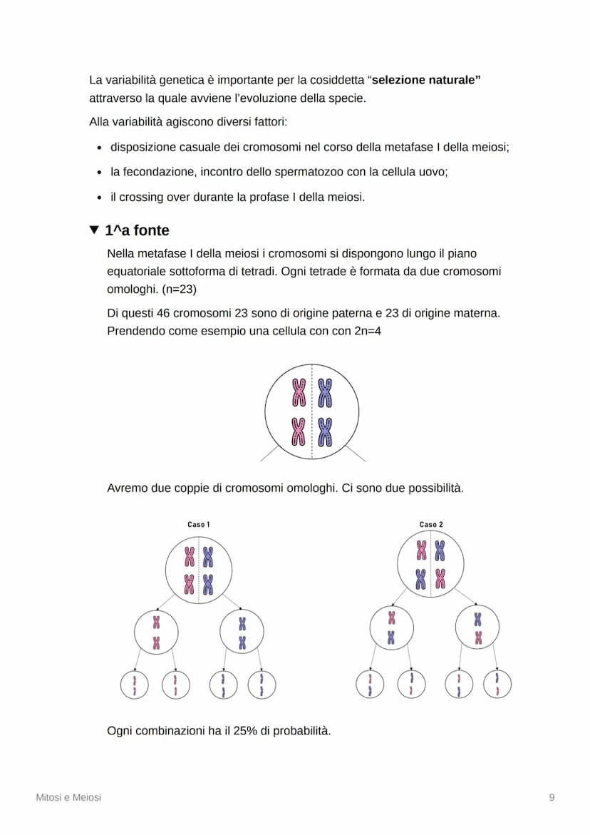 Mitosi e Meiosi
▾ La divisione cellulare e la riproduzione
▾ La riproduzione di tutti gli esseri viventi dipende dalla
divisione cellulare
M
