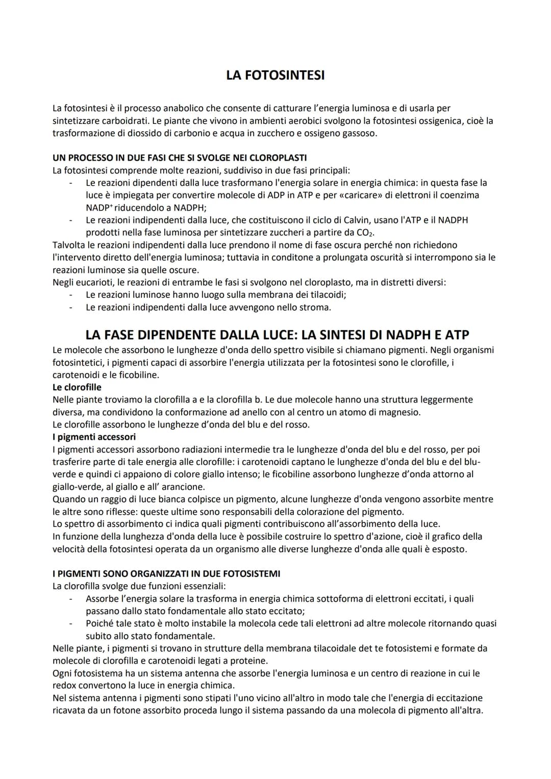 LA FOTOSINTESI
La fotosintesi è il processo anabolico che consente di catturare l'energia luminosa e di usarla per
sintetizzare carboidrati.