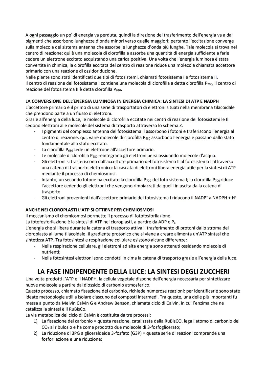LA FOTOSINTESI
La fotosintesi è il processo anabolico che consente di catturare l'energia luminosa e di usarla per
sintetizzare carboidrati.