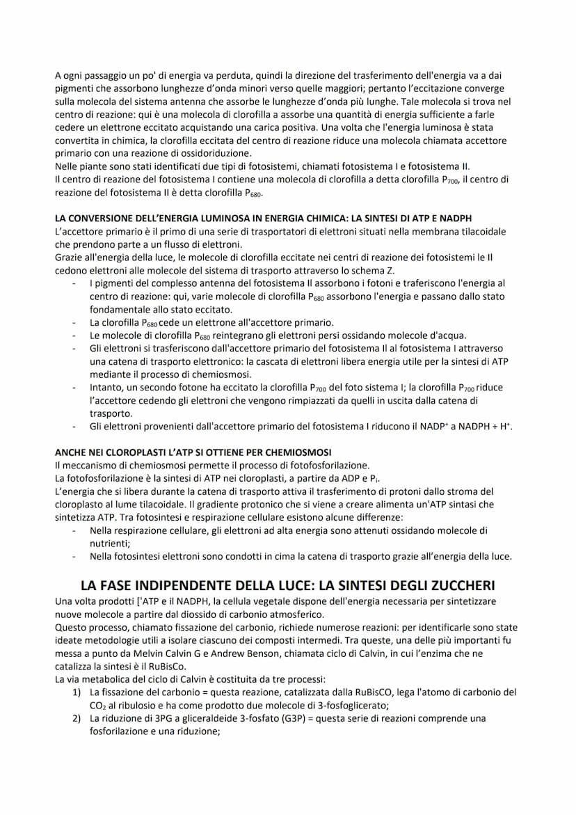 LA FOTOSINTESI
La fotosintesi è il processo anabolico che consente di catturare l'energia luminosa e di usarla per
sintetizzare carboidrati.