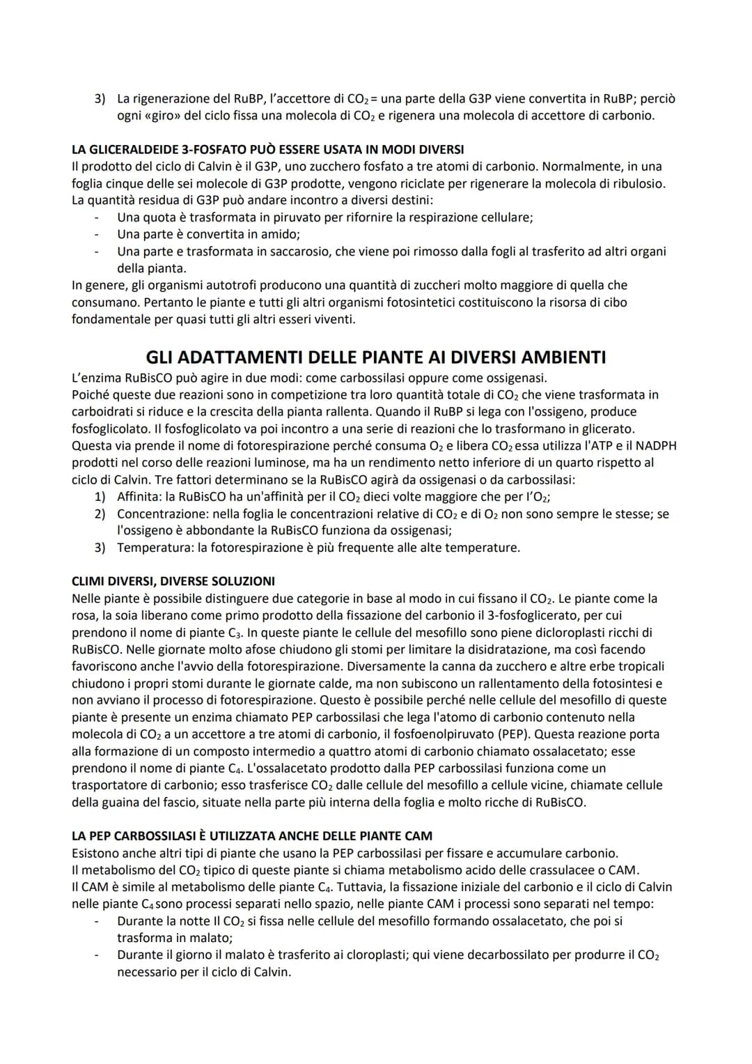 LA FOTOSINTESI
La fotosintesi è il processo anabolico che consente di catturare l'energia luminosa e di usarla per
sintetizzare carboidrati.