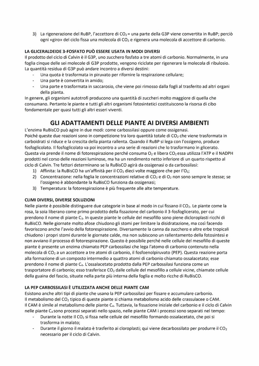 LA FOTOSINTESI
La fotosintesi è il processo anabolico che consente di catturare l'energia luminosa e di usarla per
sintetizzare carboidrati.