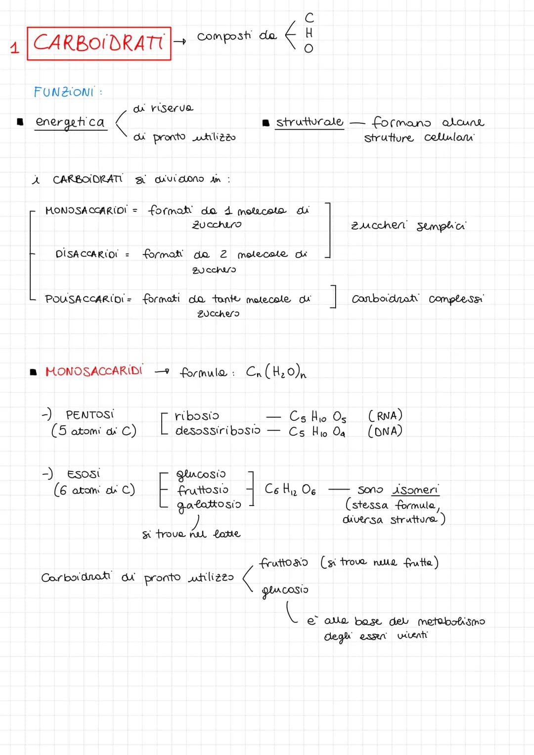 1 CARBOIDRATI
FUNZIONI:
energetica
DISACCARIDI =
di riserva
i CARBOIDRATI si dividono in :
MONOSACCARIDI =
di pronto utilizzo
-) PENTOSI
-) 