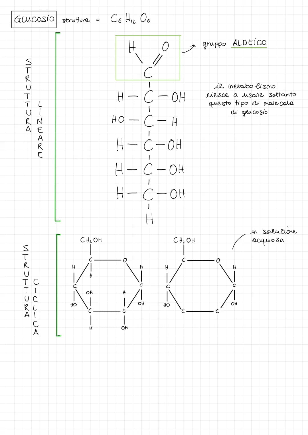 1 CARBOIDRATI
FUNZIONI:
energetica
DISACCARIDI =
di riserva
i CARBOIDRATI si dividono in :
MONOSACCARIDI =
di pronto utilizzo
-) PENTOSI
-) 
