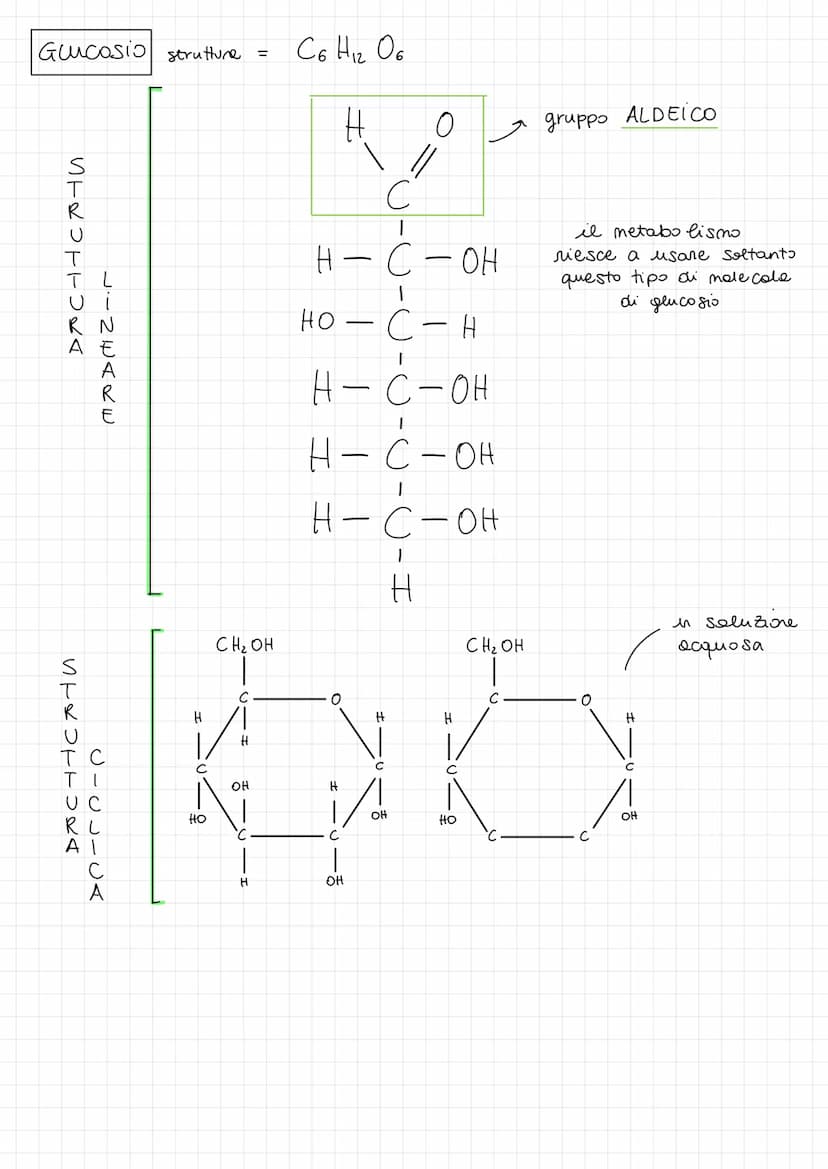 1 CARBOIDRATI
FUNZIONI:
energetica
DISACCARIDI =
di riserva
i CARBOIDRATI si dividono in :
MONOSACCARIDI =
di pronto utilizzo
-) PENTOSI
-) 