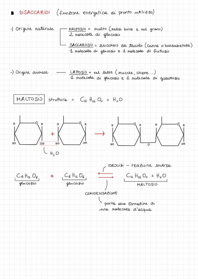 1 CARBOIDRATI
FUNZIONI:
energetica
DISACCARIDI =
di riserva
i CARBOIDRATI si dividono in :
MONOSACCARIDI =
di pronto utilizzo
-) PENTOSI
-) 