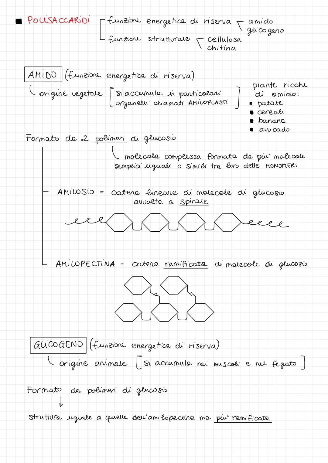 1 CARBOIDRATI
FUNZIONI:
energetica
DISACCARIDI =
di riserva
i CARBOIDRATI si dividono in :
MONOSACCARIDI =
di pronto utilizzo
-) PENTOSI
-) 