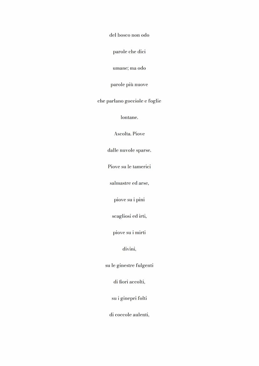 La Pioggia nel Pineto
Questa lirica è stata pubblicata nel 1903, appartiene alla sezione centrale di
Alcyone, dedicata all'estate. Il poeta,