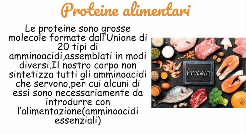 Carboidrati
Hanno funzione energetica
I più importanti sono:
Amido:contenuto negli alimenti a base
di cereali
Saccarosio: zucchero da tavola