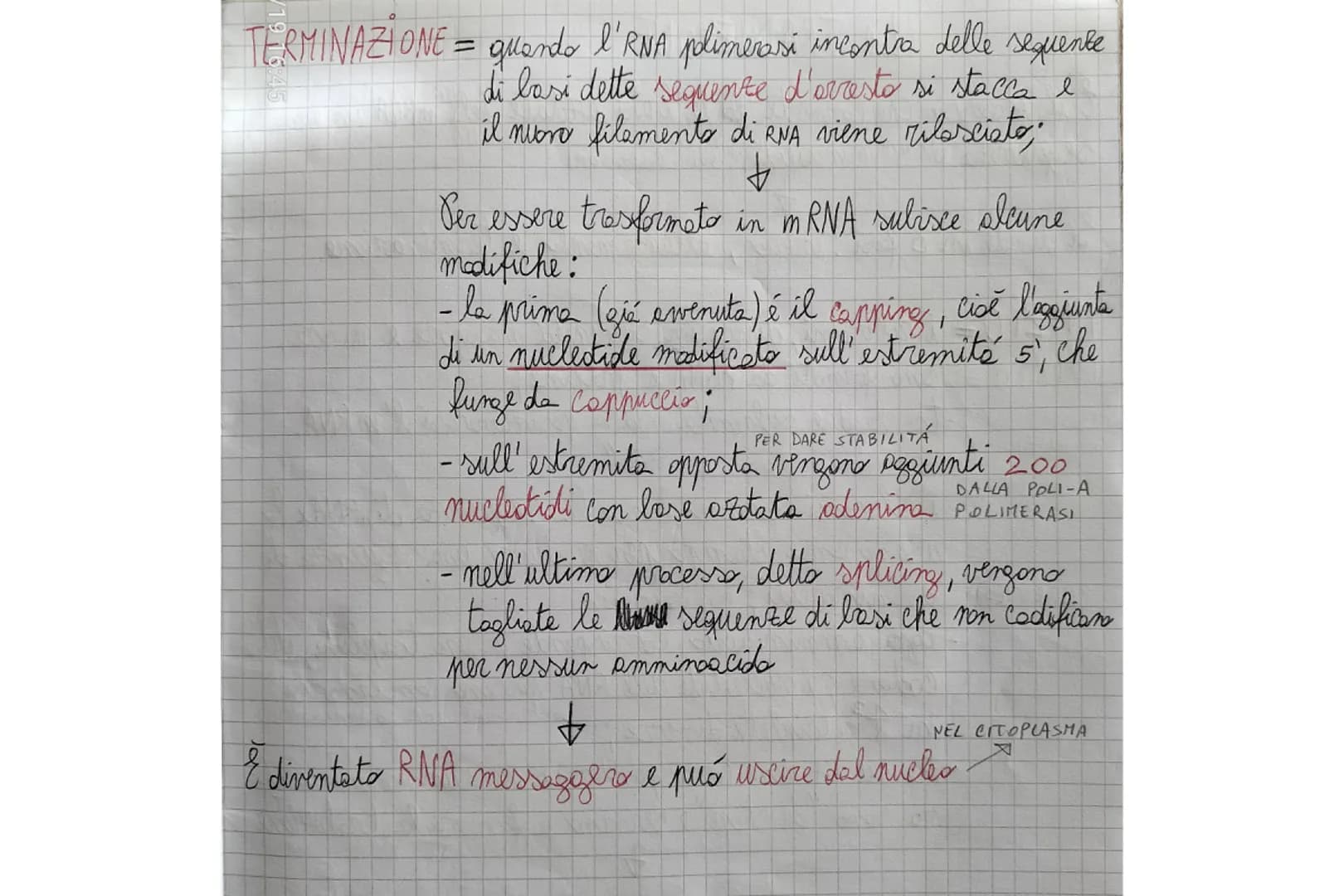 TERMINAZIONE = quando l'RNA plimerasi incontra delle sequente
di lasi dette sequenze d'arresto si stacca e
il nuoro filaments di RNA viene r