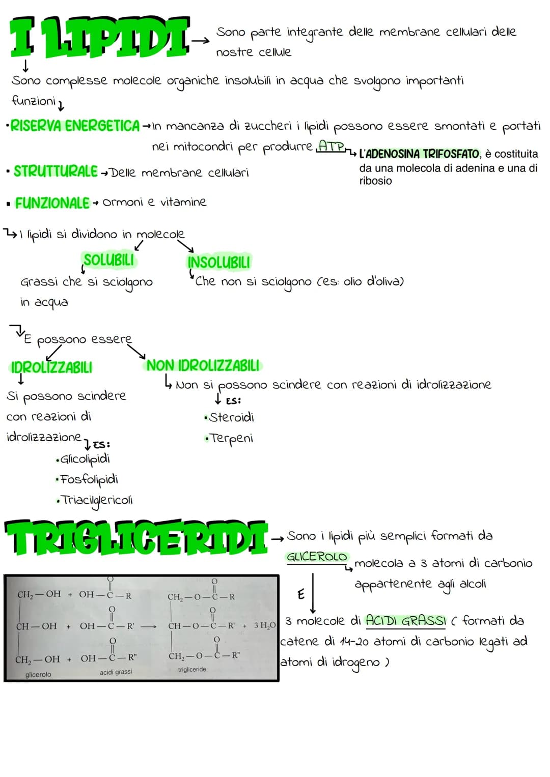 
<p>I legami covalenti mettono in comune uno o più elementi. Ad esempio, l'idrogeno forma un legame con un altro atomo di idrogeno (H-H), l'