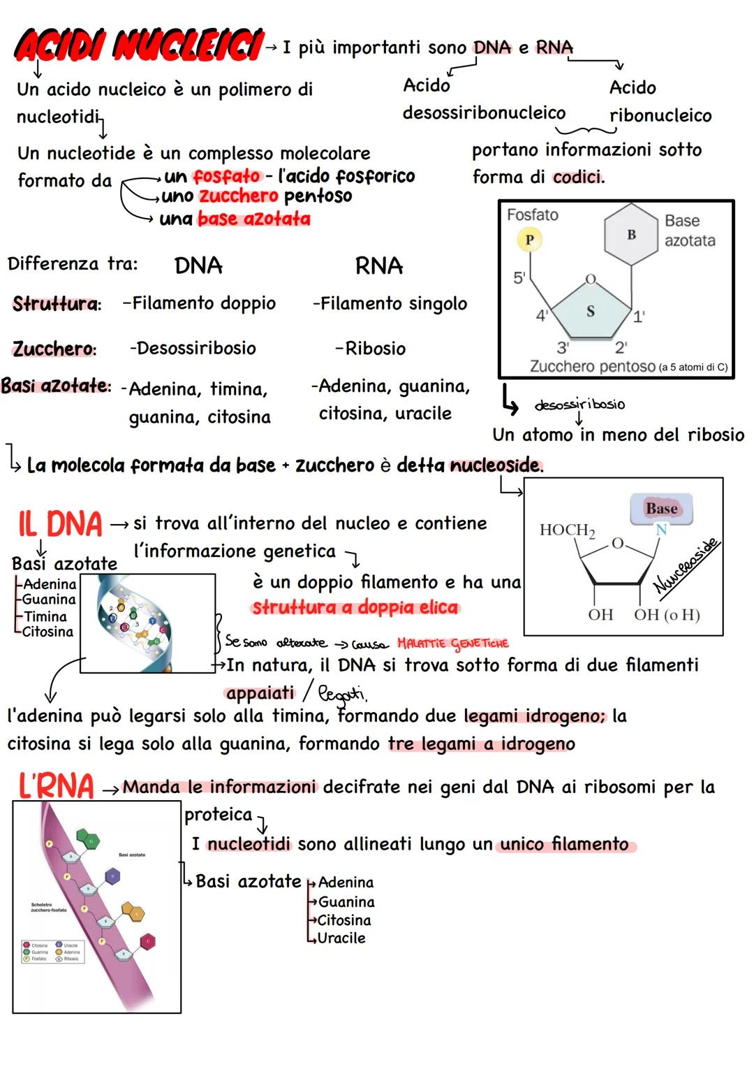 
<p>I legami covalenti mettono in comune uno o più elementi. Ad esempio, l'idrogeno forma un legame con un altro atomo di idrogeno (H-H), l'