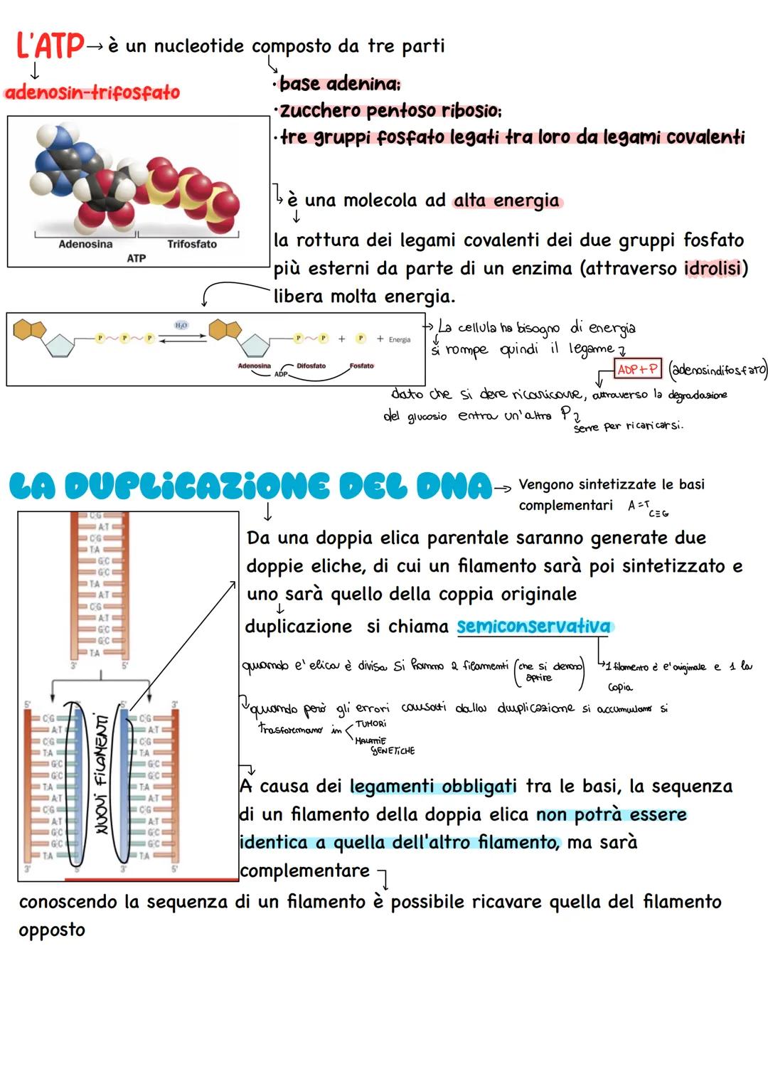 
<p>I legami covalenti mettono in comune uno o più elementi. Ad esempio, l'idrogeno forma un legame con un altro atomo di idrogeno (H-H), l'