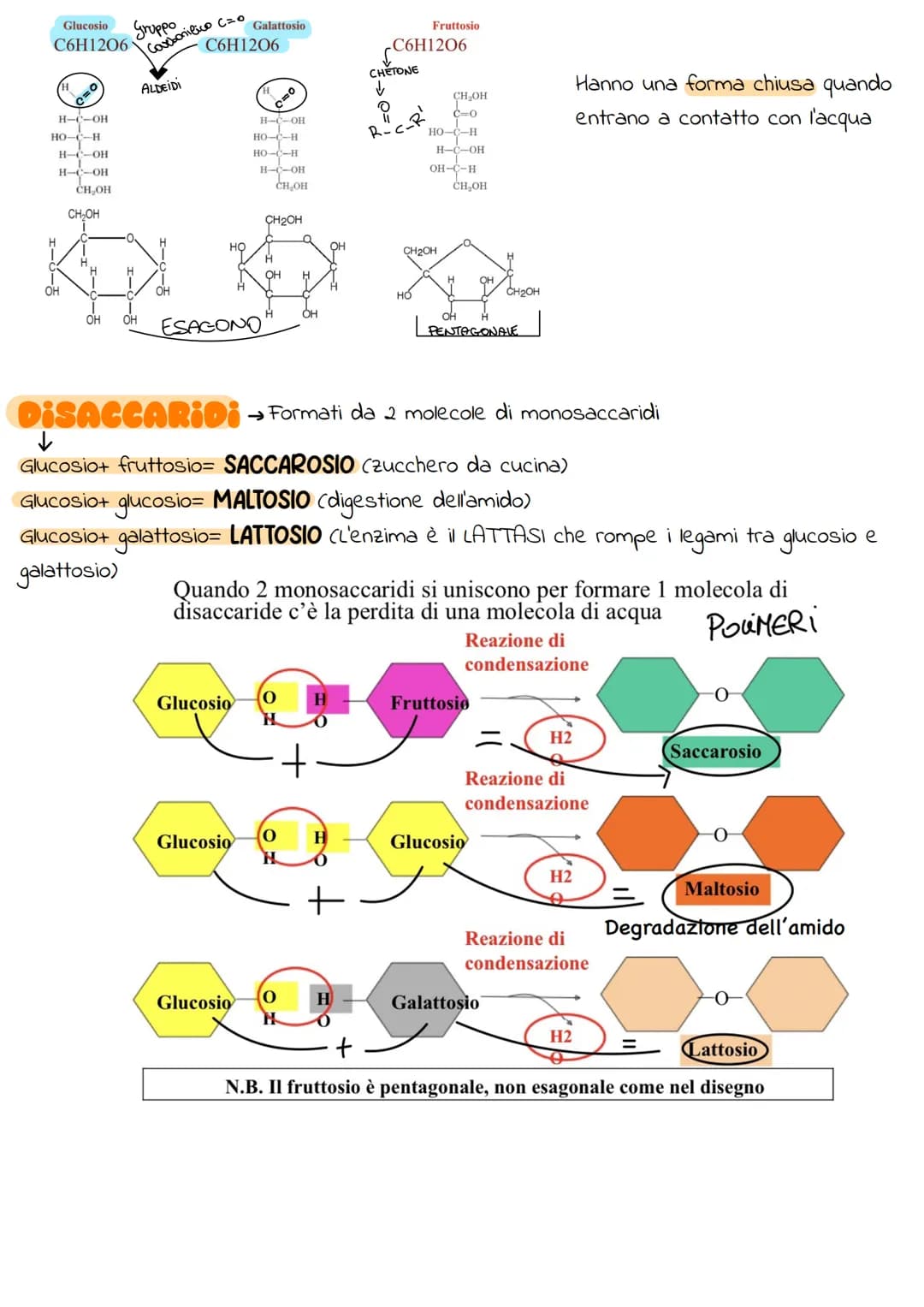 
<p>I legami covalenti mettono in comune uno o più elementi. Ad esempio, l'idrogeno forma un legame con un altro atomo di idrogeno (H-H), l'