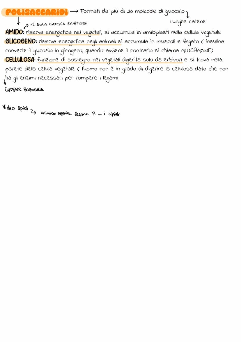 
<p>I legami covalenti mettono in comune uno o più elementi. Ad esempio, l'idrogeno forma un legame con un altro atomo di idrogeno (H-H), l'