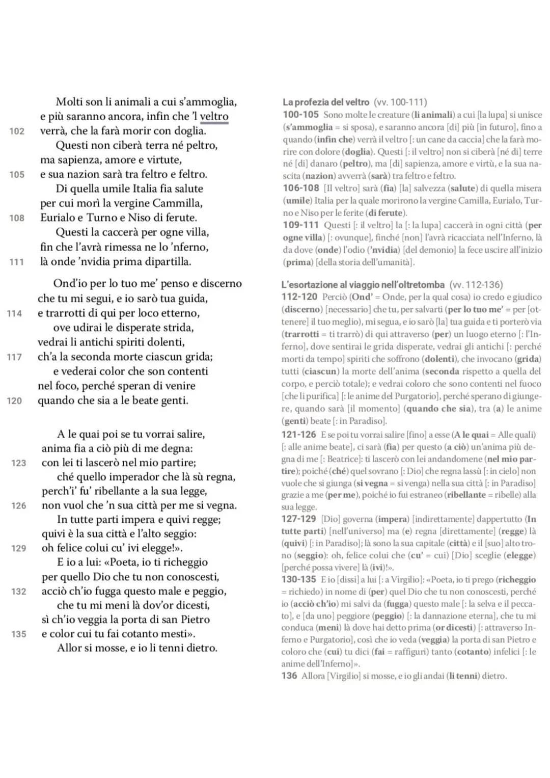 Dante La Divina Commedia - L'Inferno
• L'Inferno è il primo dei tre regni dell'Oltretomba cristiano
visitato da Dante nel corso del viaggio,
