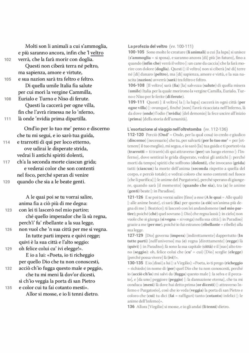 Dante La Divina Commedia - L'Inferno
• L'Inferno è il primo dei tre regni dell'Oltretomba cristiano
visitato da Dante nel corso del viaggio,