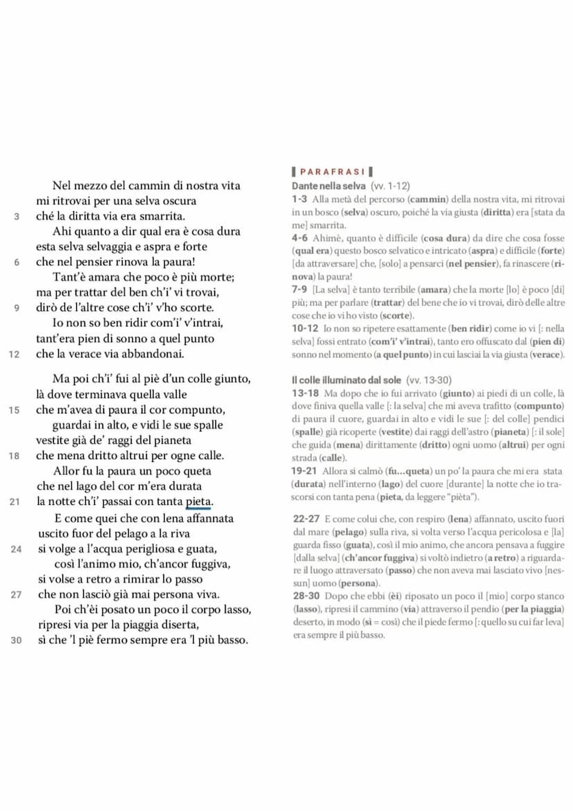 Dante La Divina Commedia - L'Inferno
• L'Inferno è il primo dei tre regni dell'Oltretomba cristiano
visitato da Dante nel corso del viaggio,