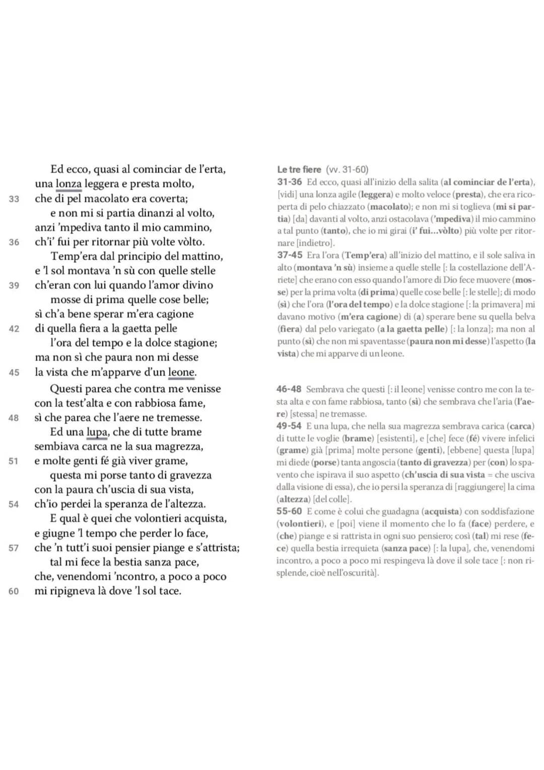Dante La Divina Commedia - L'Inferno
• L'Inferno è il primo dei tre regni dell'Oltretomba cristiano
visitato da Dante nel corso del viaggio,