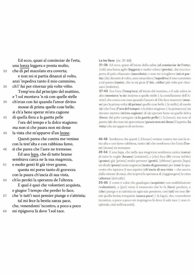 Dante La Divina Commedia - L'Inferno
• L'Inferno è il primo dei tre regni dell'Oltretomba cristiano
visitato da Dante nel corso del viaggio,