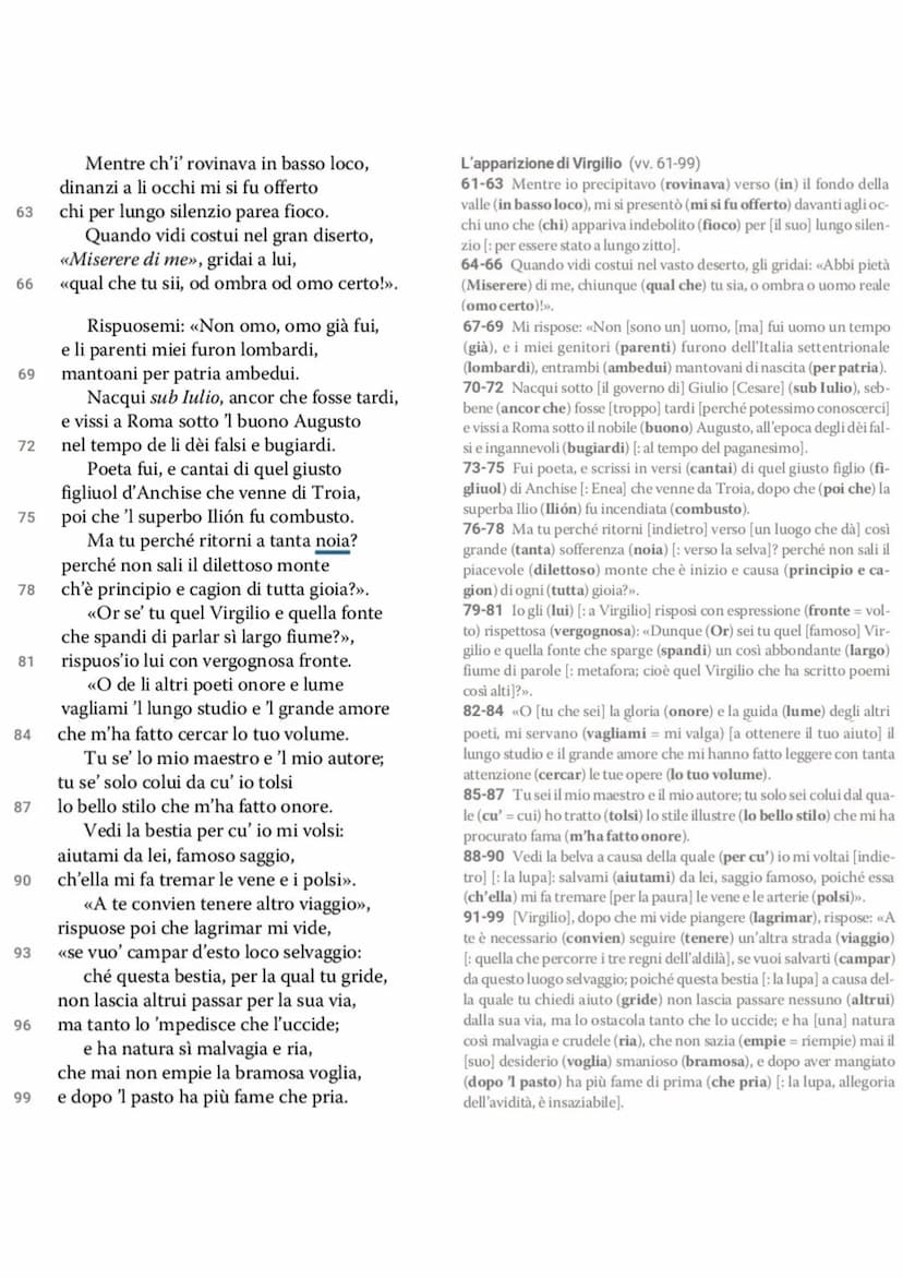 Dante La Divina Commedia - L'Inferno
• L'Inferno è il primo dei tre regni dell'Oltretomba cristiano
visitato da Dante nel corso del viaggio,