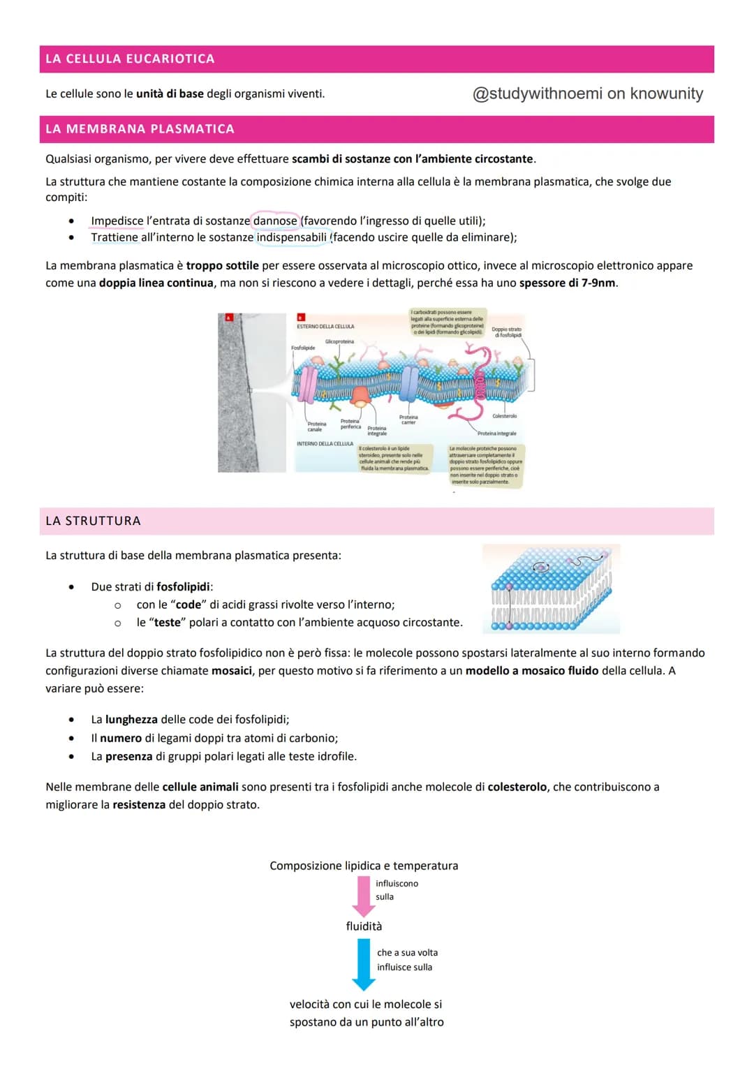 BIOLOGIA - LA CELLULA
@studywithnoemi on knowunity LA CELLULA EUCARIOTICA
Le cellule sono le unità di base degli organismi viventi.
LA MEMBR