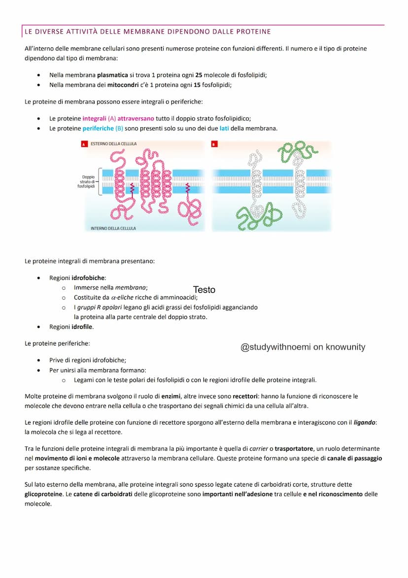 BIOLOGIA - LA CELLULA
@studywithnoemi on knowunity LA CELLULA EUCARIOTICA
Le cellule sono le unità di base degli organismi viventi.
LA MEMBR