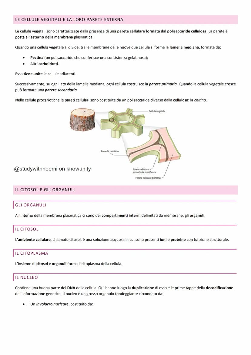 BIOLOGIA - LA CELLULA
@studywithnoemi on knowunity LA CELLULA EUCARIOTICA
Le cellule sono le unità di base degli organismi viventi.
LA MEMBR