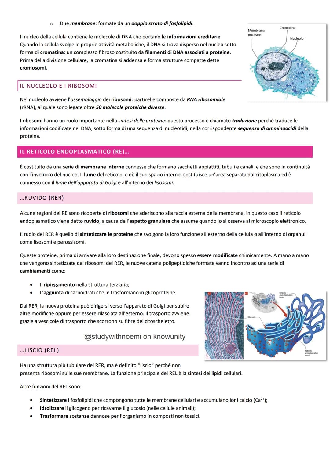 BIOLOGIA - LA CELLULA
@studywithnoemi on knowunity LA CELLULA EUCARIOTICA
Le cellule sono le unità di base degli organismi viventi.
LA MEMBR