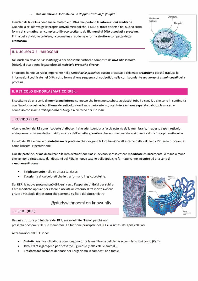 BIOLOGIA - LA CELLULA
@studywithnoemi on knowunity LA CELLULA EUCARIOTICA
Le cellule sono le unità di base degli organismi viventi.
LA MEMBR