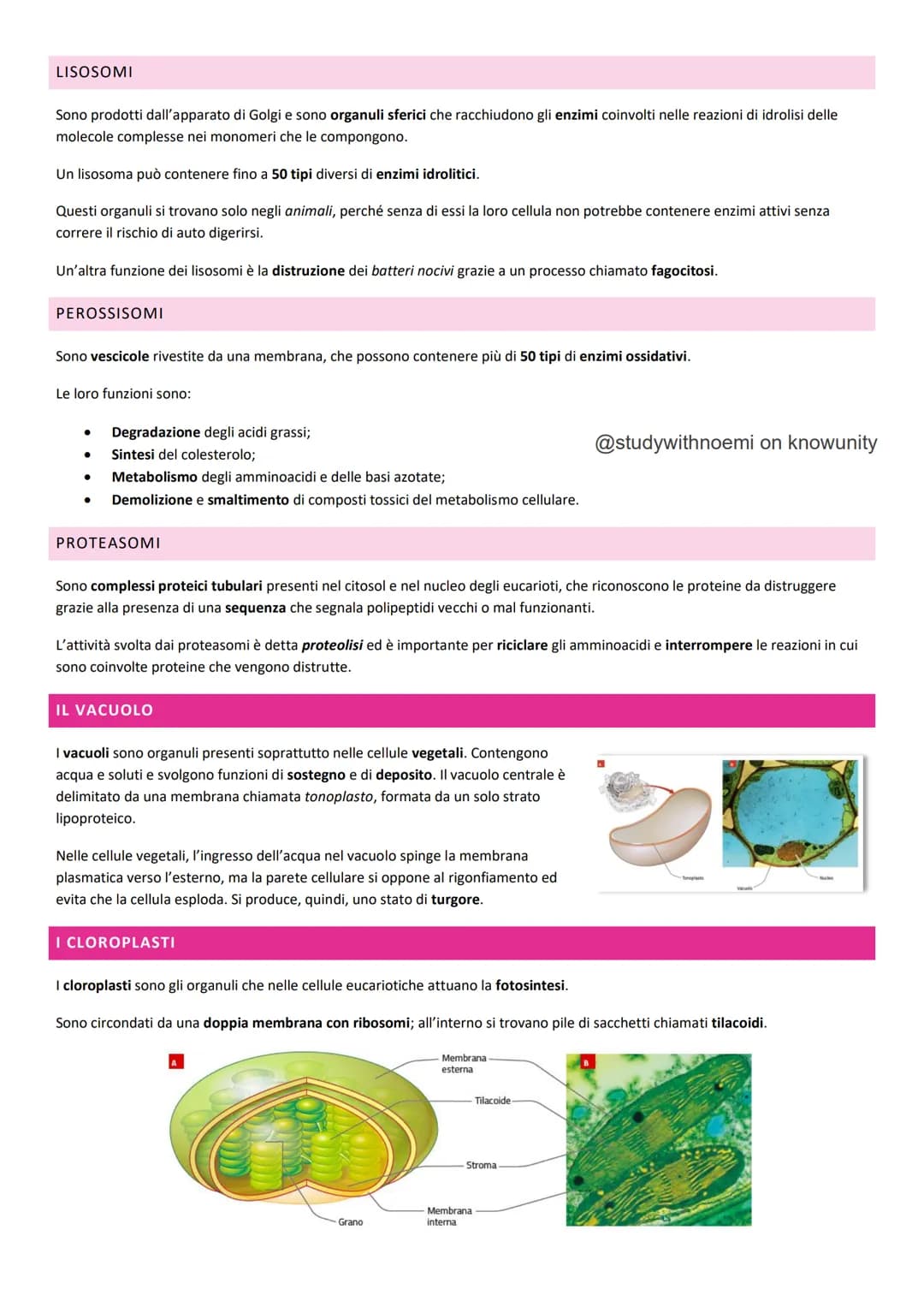 BIOLOGIA - LA CELLULA
@studywithnoemi on knowunity LA CELLULA EUCARIOTICA
Le cellule sono le unità di base degli organismi viventi.
LA MEMBR