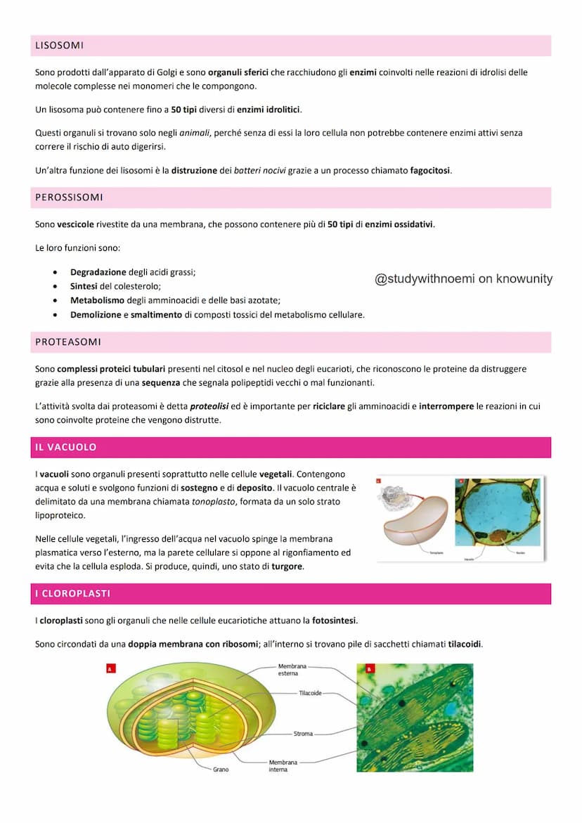 BIOLOGIA - LA CELLULA
@studywithnoemi on knowunity LA CELLULA EUCARIOTICA
Le cellule sono le unità di base degli organismi viventi.
LA MEMBR