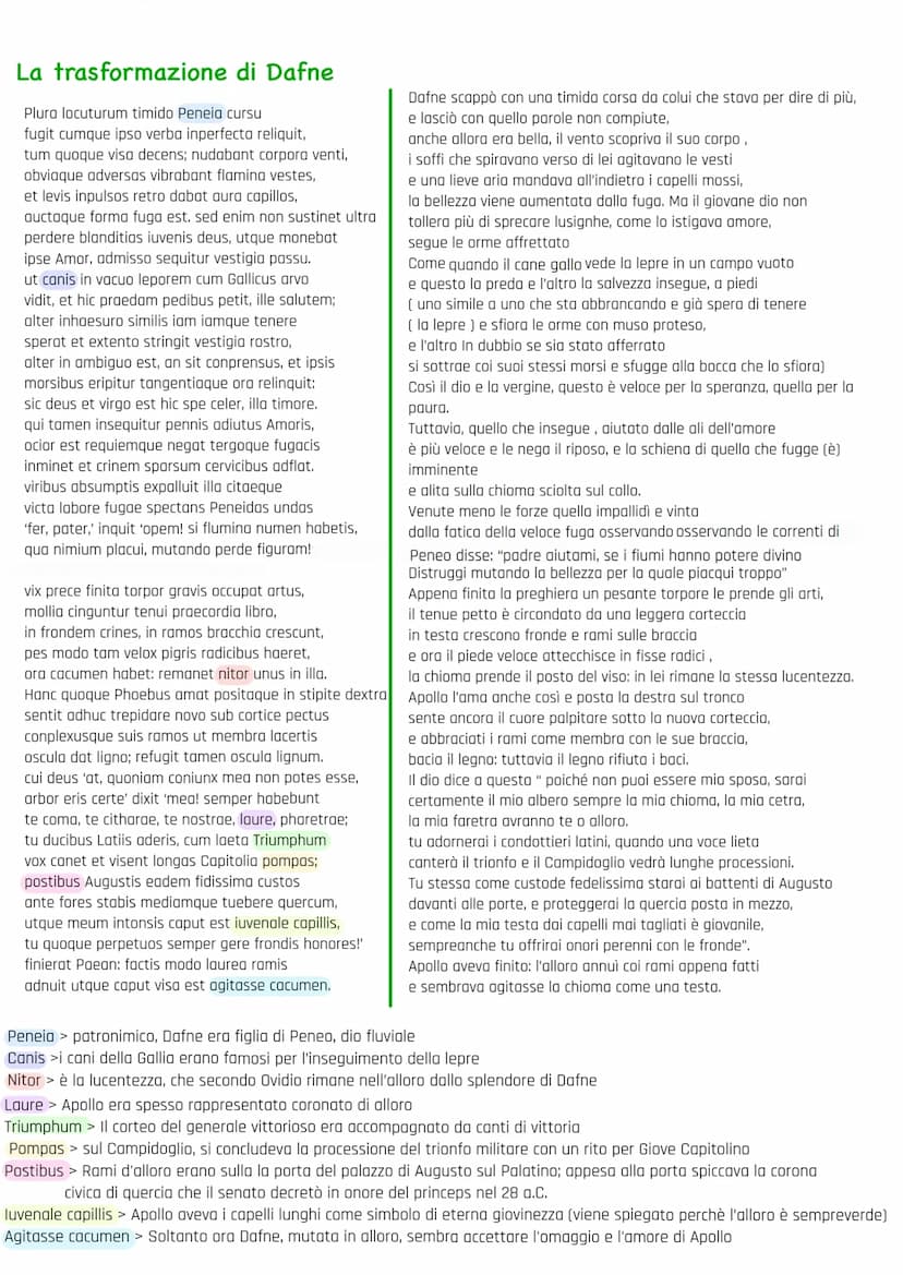 OVIDIO L'ELEGIA A ROMA
Introduzione
- è un genere soggettivo e autobiografico
- amore> posto al centro del discorso poetico
- deriva dalla l