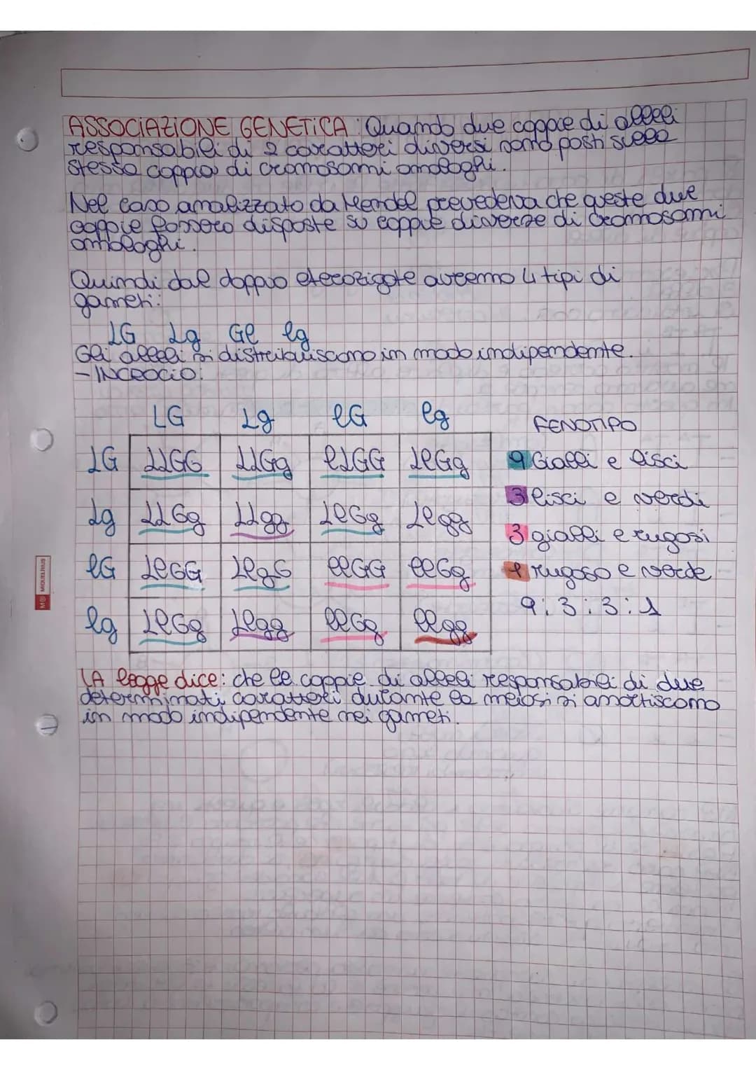 
<p>Mendel effettuò degli esperimenti utilizzando delle piante molto semplici, piante di piselli appartenenti alla specie di Pisum sativum. 