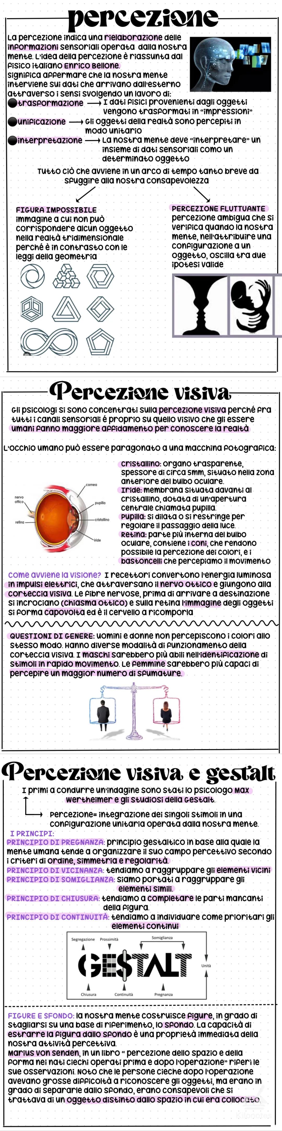 percezione
La percezione indica una rielaborazione delle
informazioni sensoriali operata dalla nostra
mente. L'idea della percezione è riass