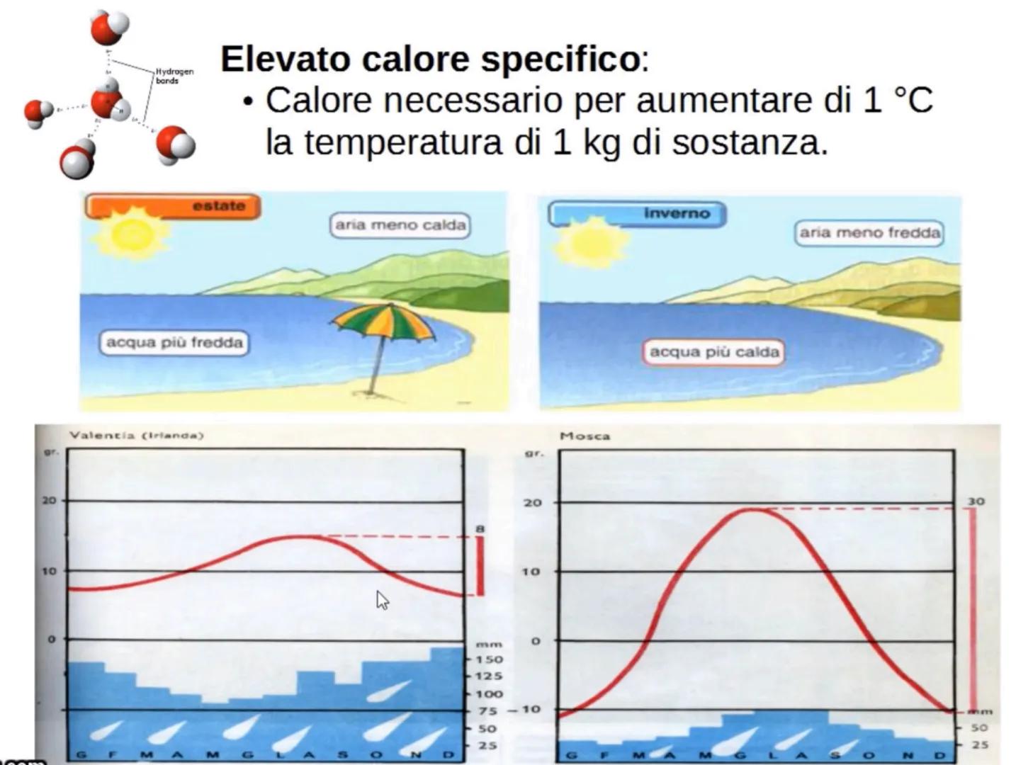 L'acqua: una molecola polare
Breve introduzione
La formula dell'acqua è H2O, ciò significa che la molecola di acqua è formata
da due atomi d