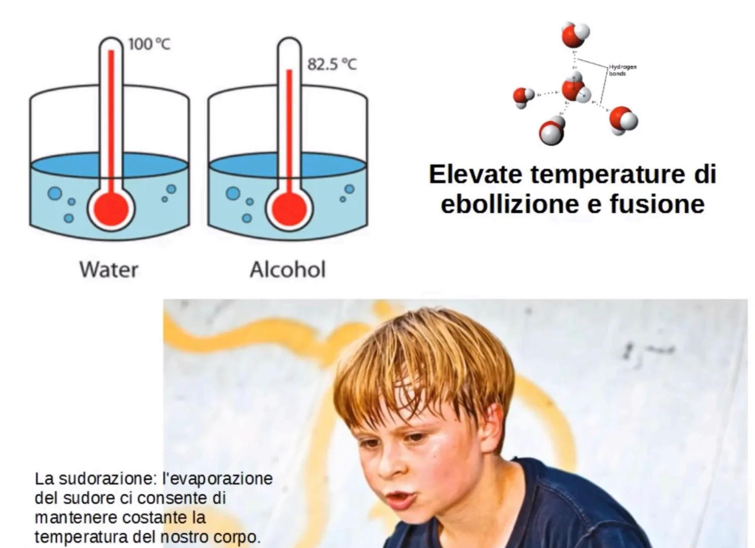 L'acqua: una molecola polare
Breve introduzione
La formula dell'acqua è H2O, ciò significa che la molecola di acqua è formata
da due atomi d