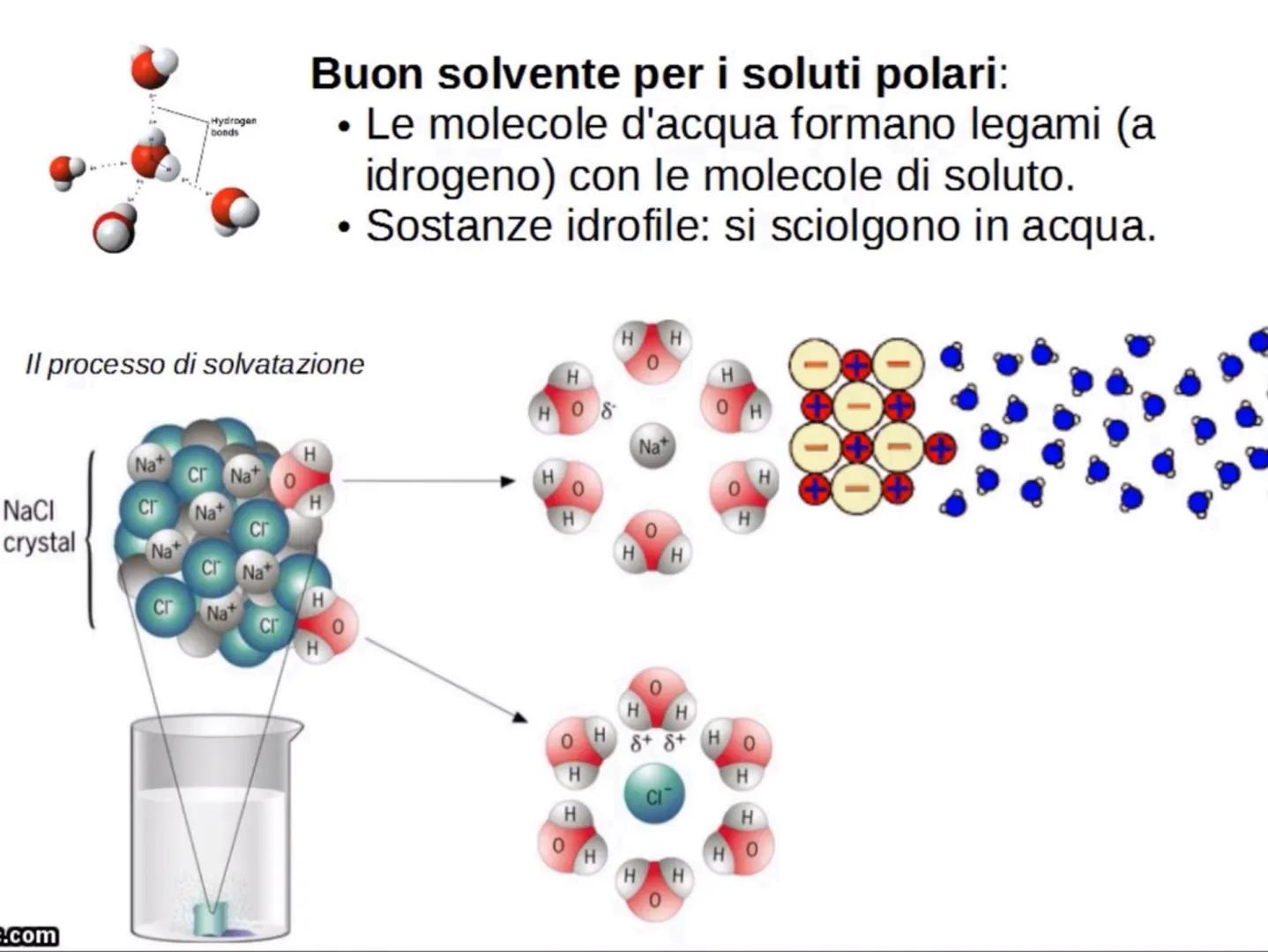 L'acqua: una molecola polare
Breve introduzione
La formula dell'acqua è H2O, ciò significa che la molecola di acqua è formata
da due atomi d