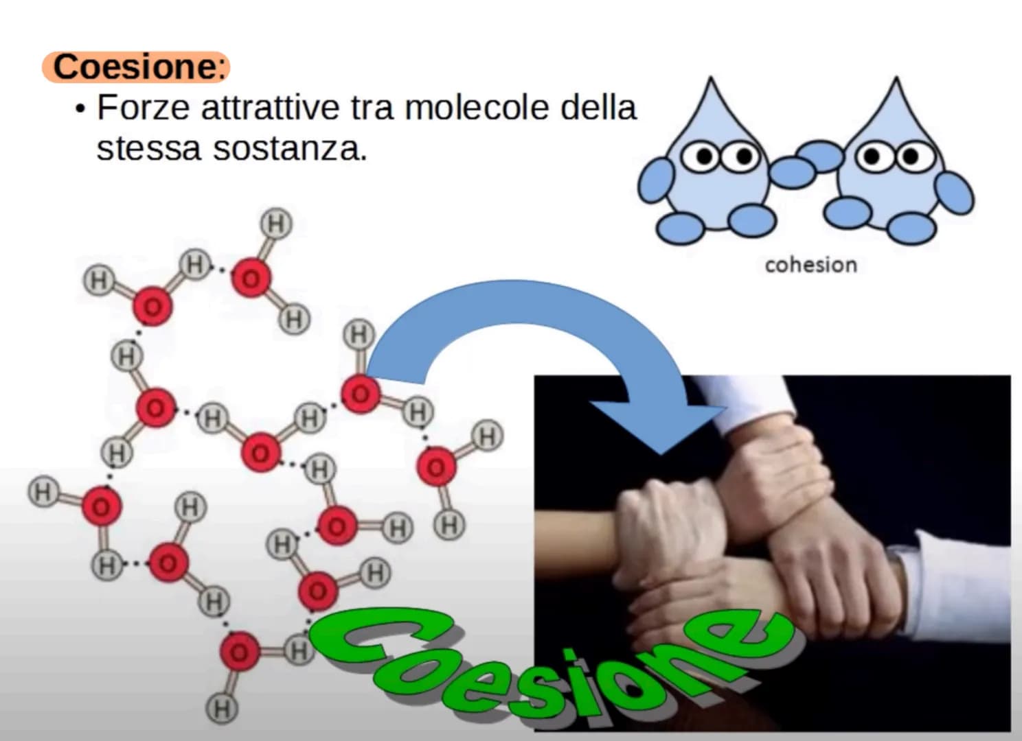 L'acqua: una molecola polare
Breve introduzione
La formula dell'acqua è H2O, ciò significa che la molecola di acqua è formata
da due atomi d