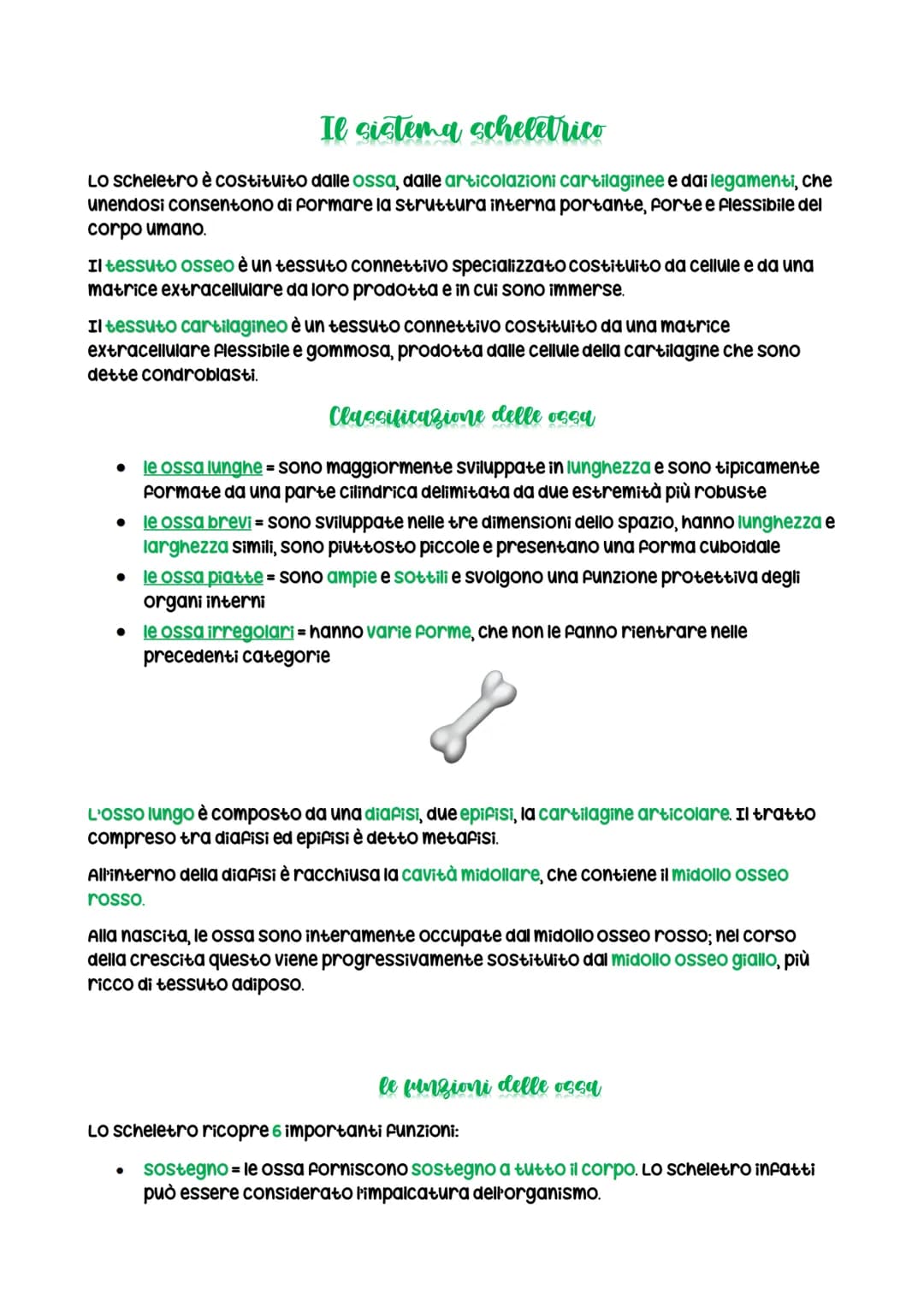 Il sistema scheletrico
Lo scheletro è costituito dalle ossa, dalle articolazioni cartilaginee e dai legamenti, che
unendosi consentono di fo