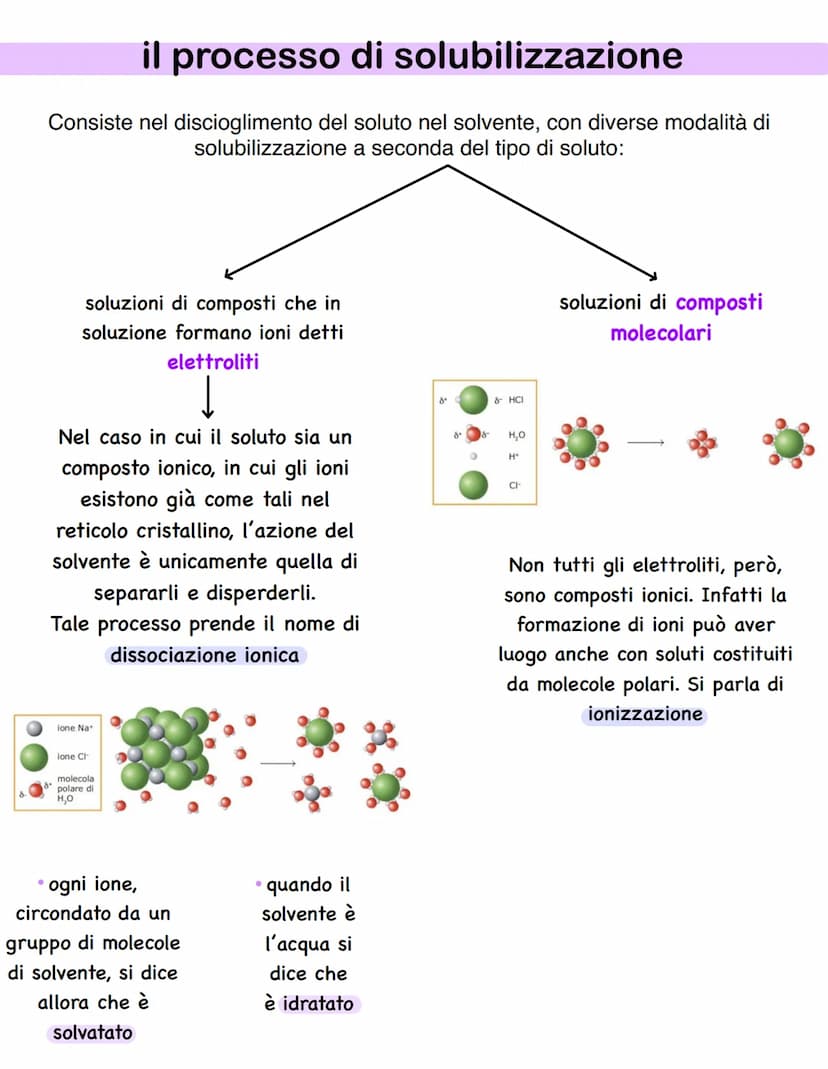 LE SOLUZIONI
Una soluzione è una miscela omogenea di due o più specie chimiche che non
sono più distinguibili visivamente e che mantengono i